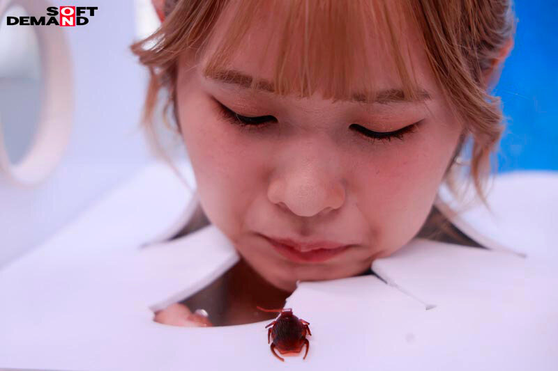 佐野りか、橘いおり、櫻ももな シーン18 - &rsquo;FREEZE&rsquo;し続けられたら賞金ゲット！ どんな妨害をされても絶対に動いちゃダメ！ ウブな女子大生限定！ ノーリアクションで快感ガマン耐久チャレンジ！！