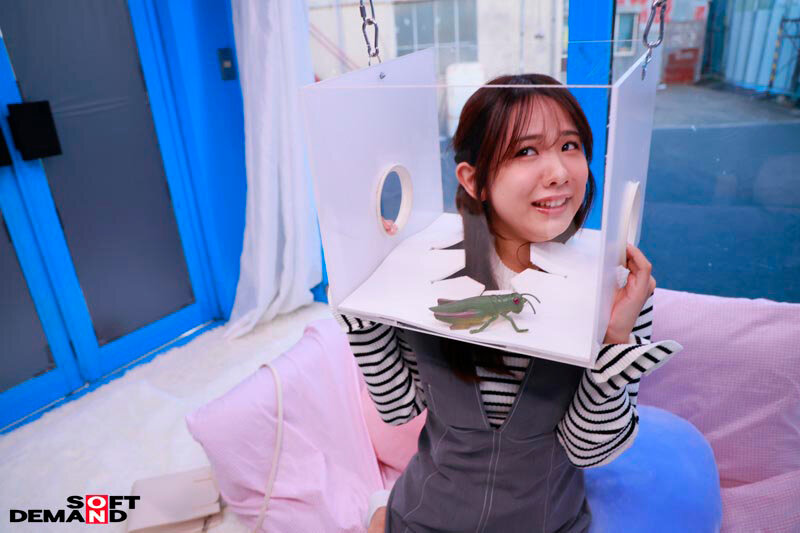 佐野りか、橘いおり、櫻ももな フィニッシュ - &rsquo;FREEZE&rsquo;し続けられたら賞金ゲット！ どんな妨害をされても絶対に動いちゃダメ！ ウブな女子大生限定！ ノーリアクションで快感ガマン耐久チャレンジ！！
